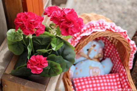 Čarobne zgodbe slovenskih vasi  (54)